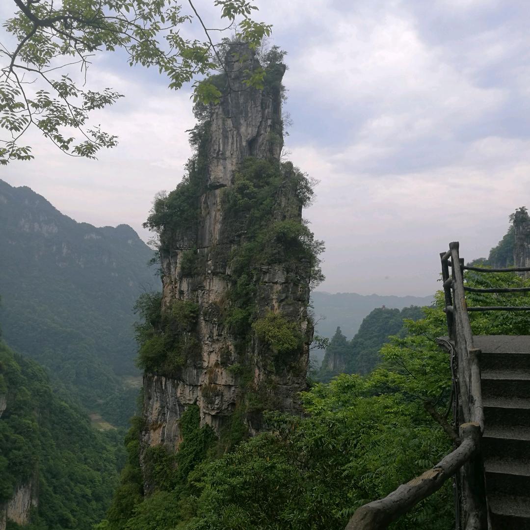 霞霞…