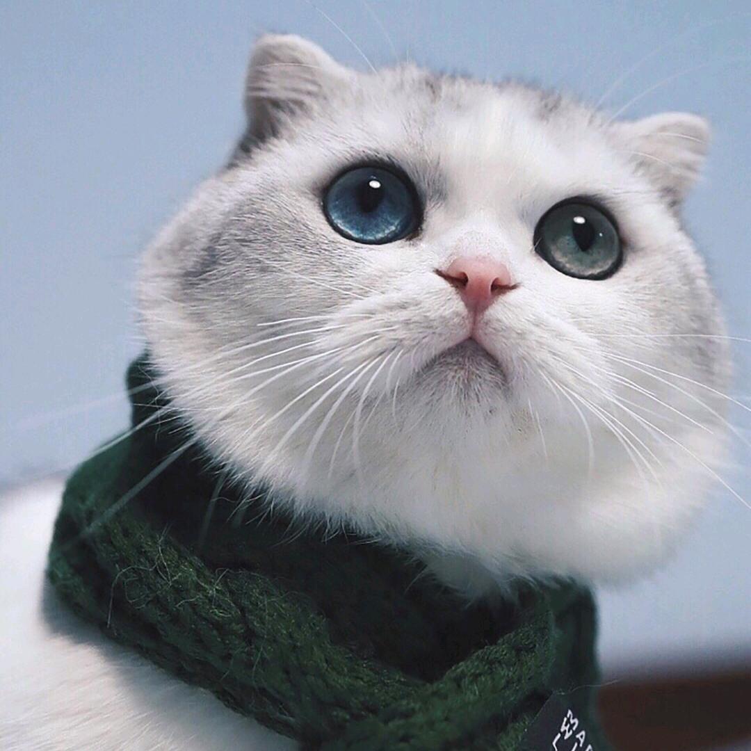 (៸៸᳐⦁⩊⦁៸៸᳐ )੭