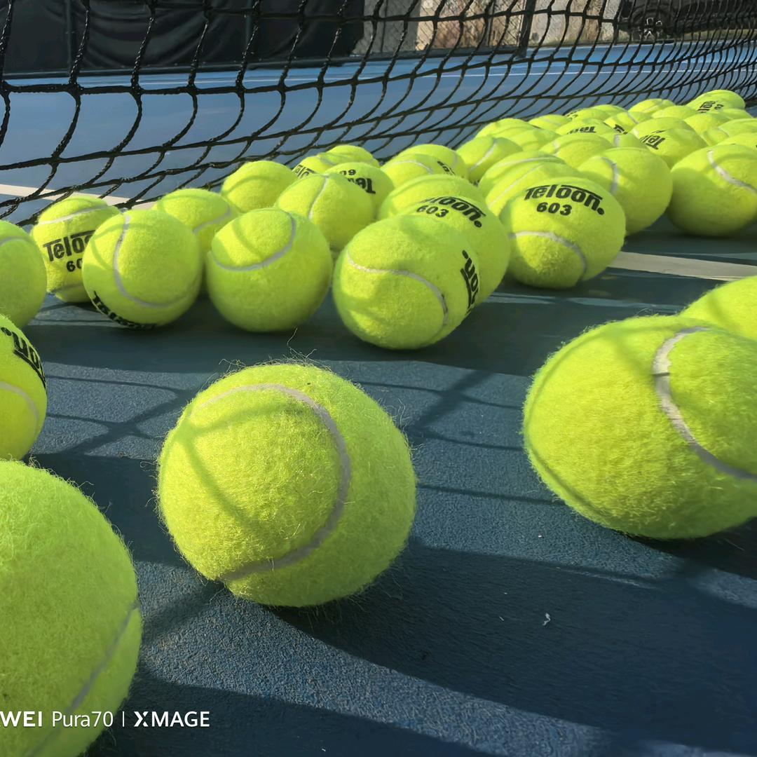 体制内退休老头