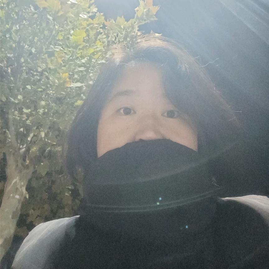 甜甜橙