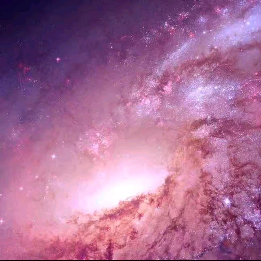 随心8