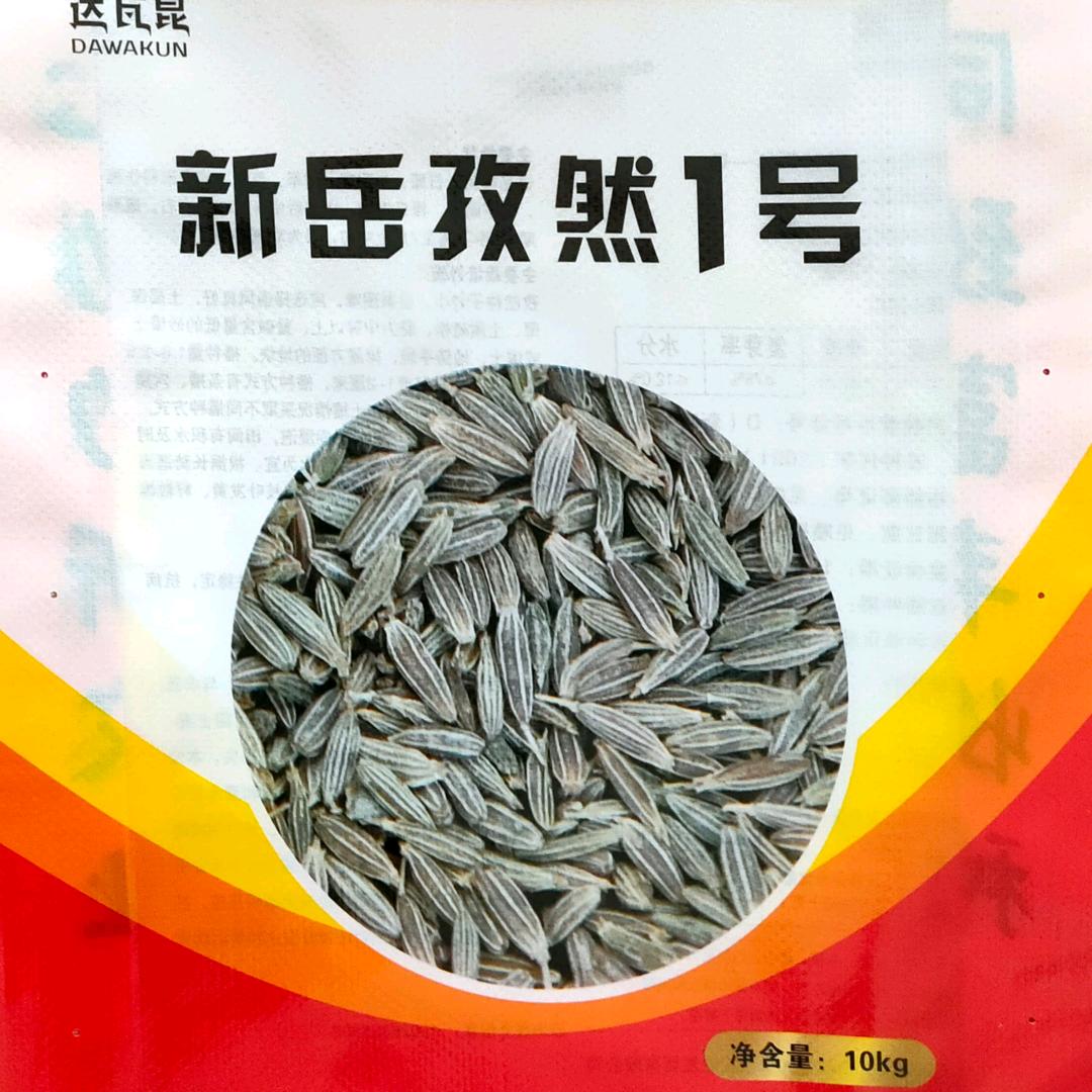 新疆远大 阿米娜