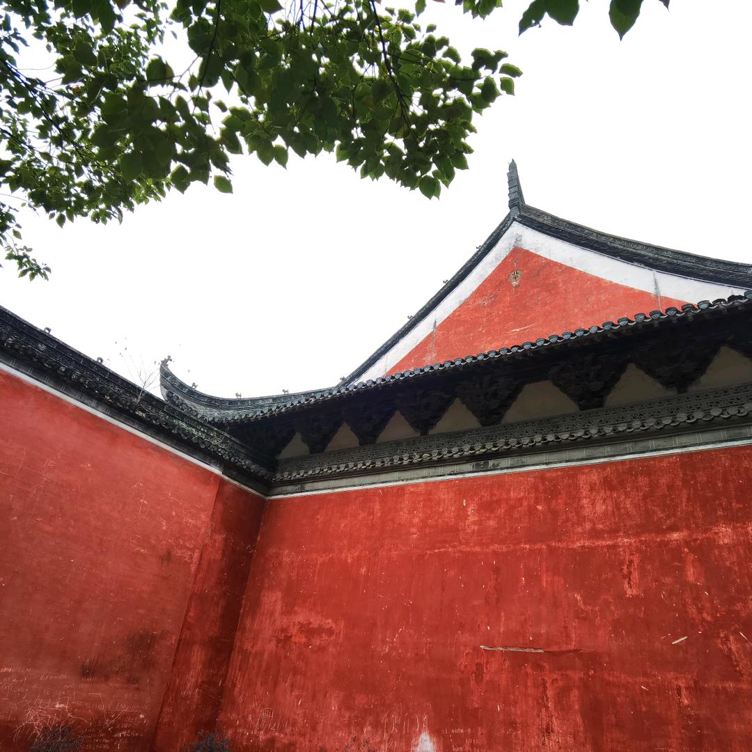 自媒体.行者
