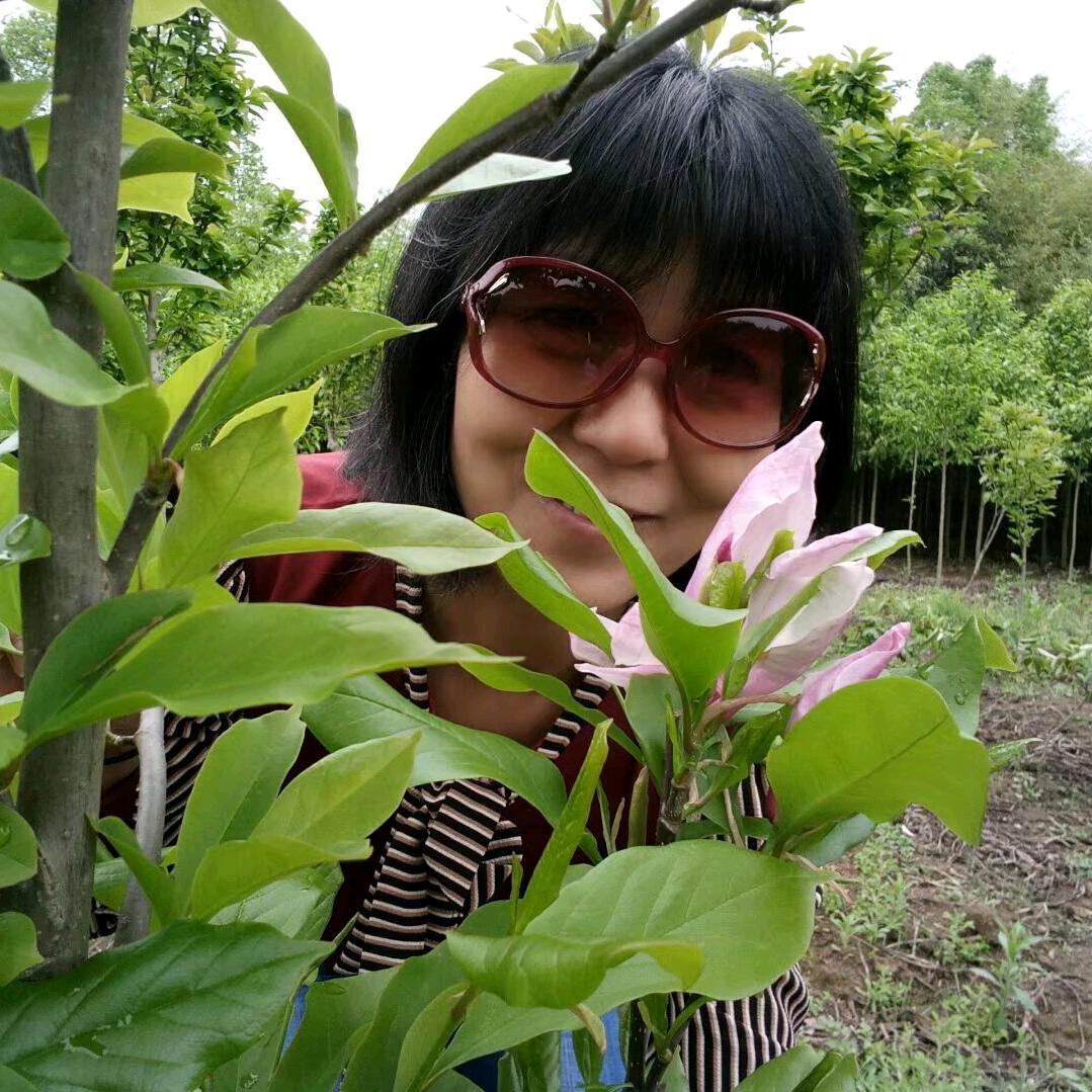桂林桂林