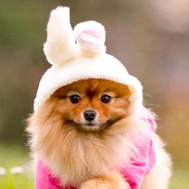 一切随缘？。：