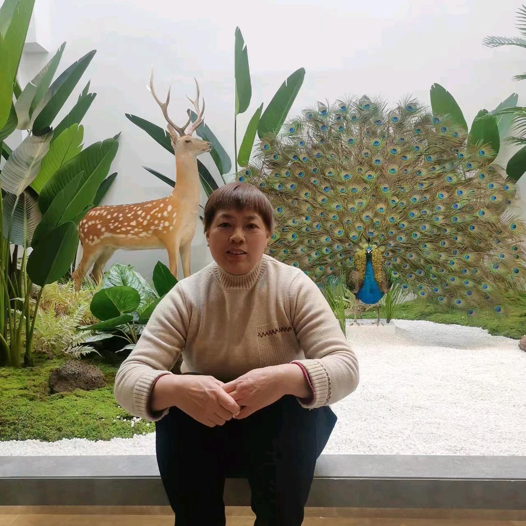 顺直自然
