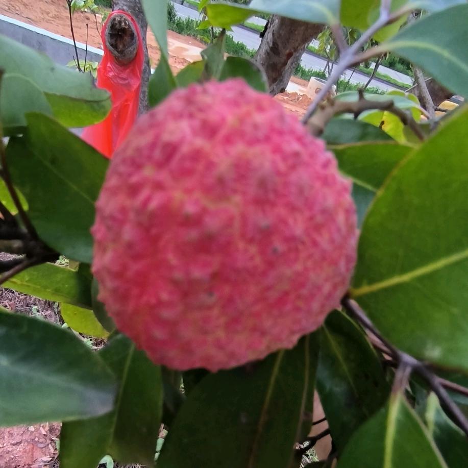 稳定高效