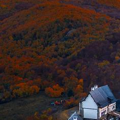 好像是婆妈哭唧唧
