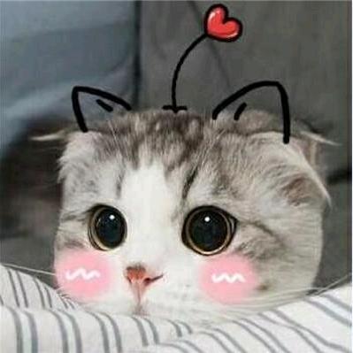 小威同学