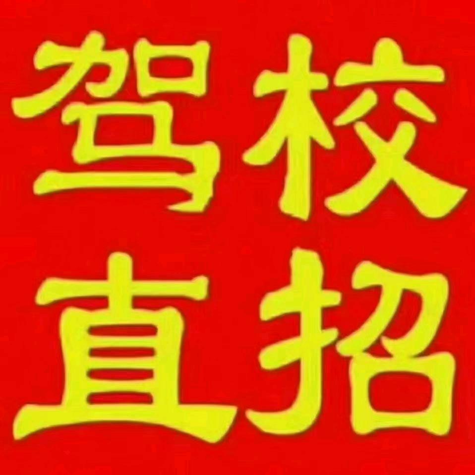 驾校招生（张教练）