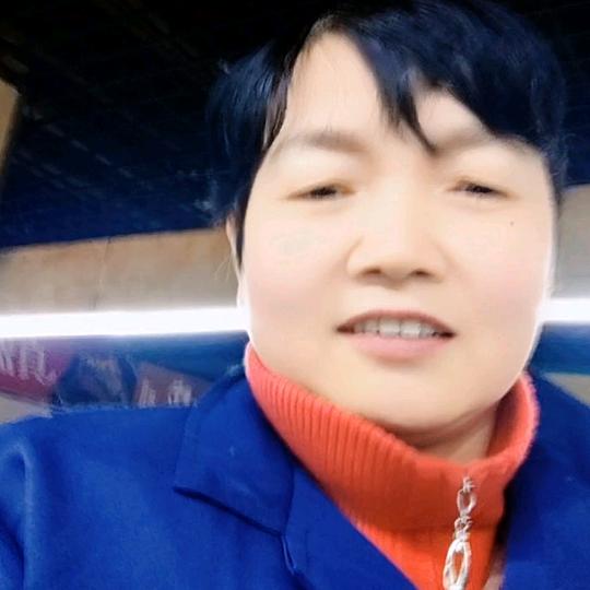琴姐来了（首播筹备中）