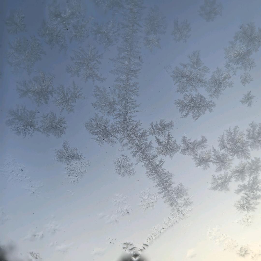 小师妹我是二师兄