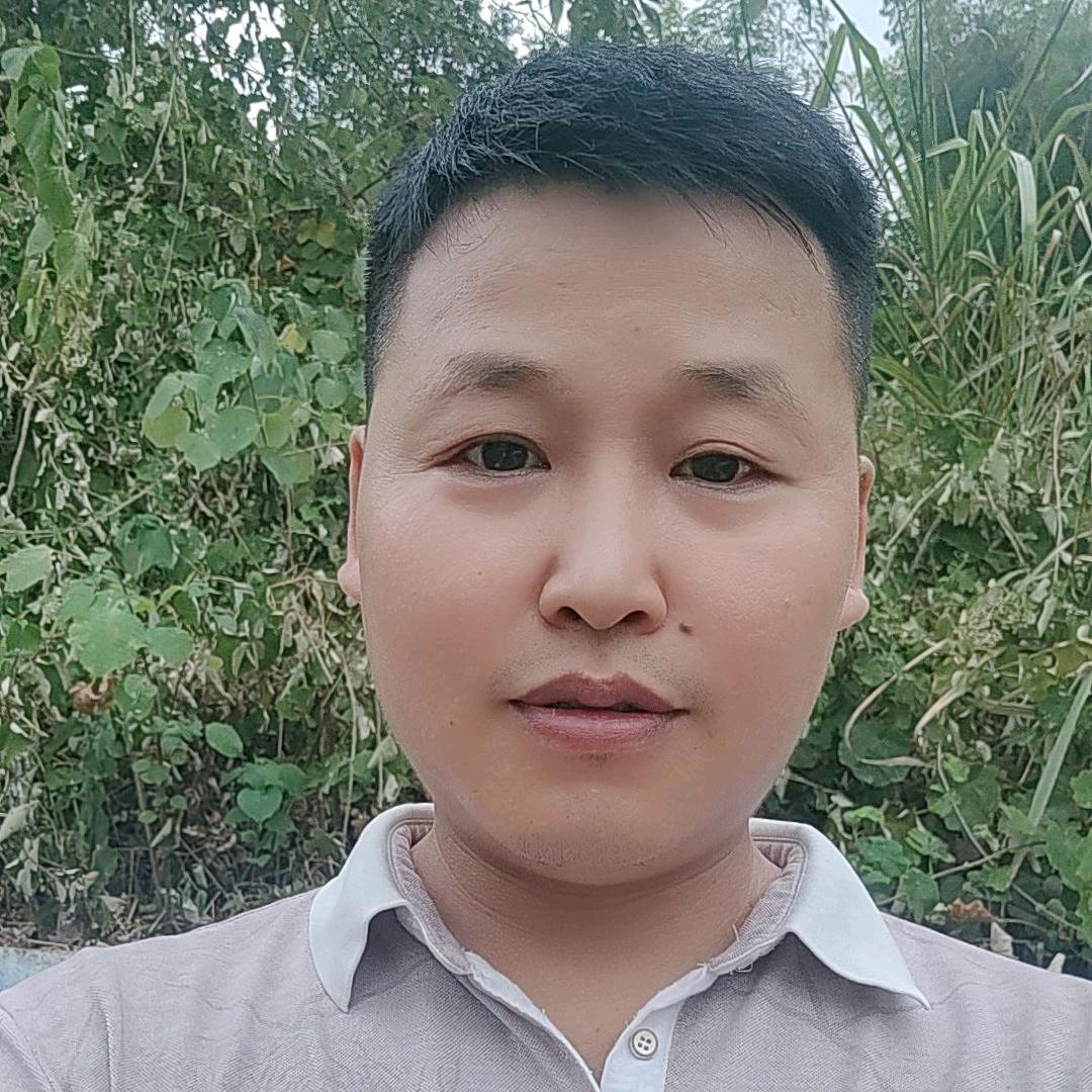 小强歌