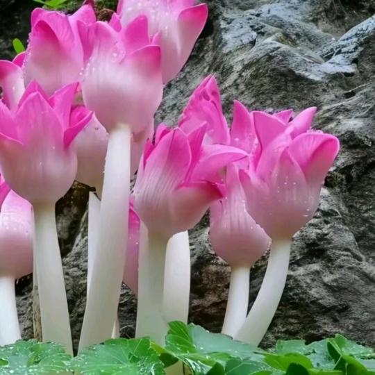 不如意事常八九，可与人言无二三