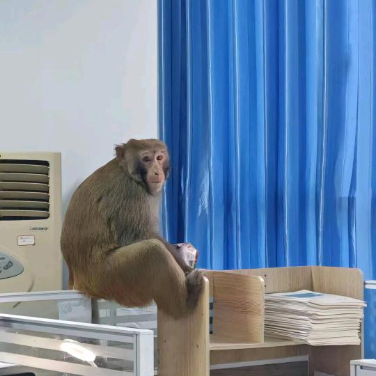 奇怪的男（打螺丝版）