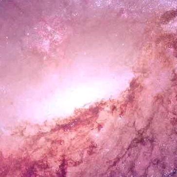 深海遨游的贝壳