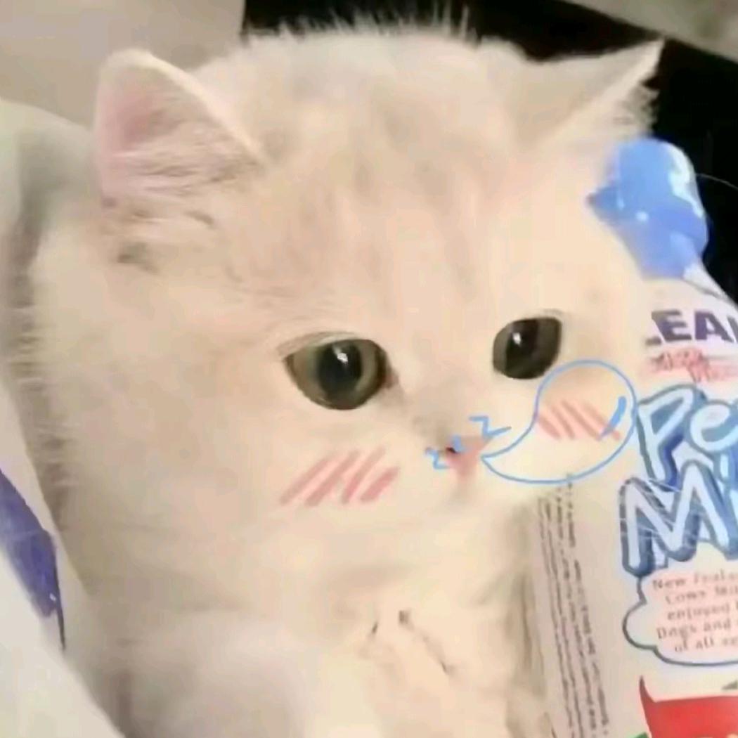 可爱的欣欣日常