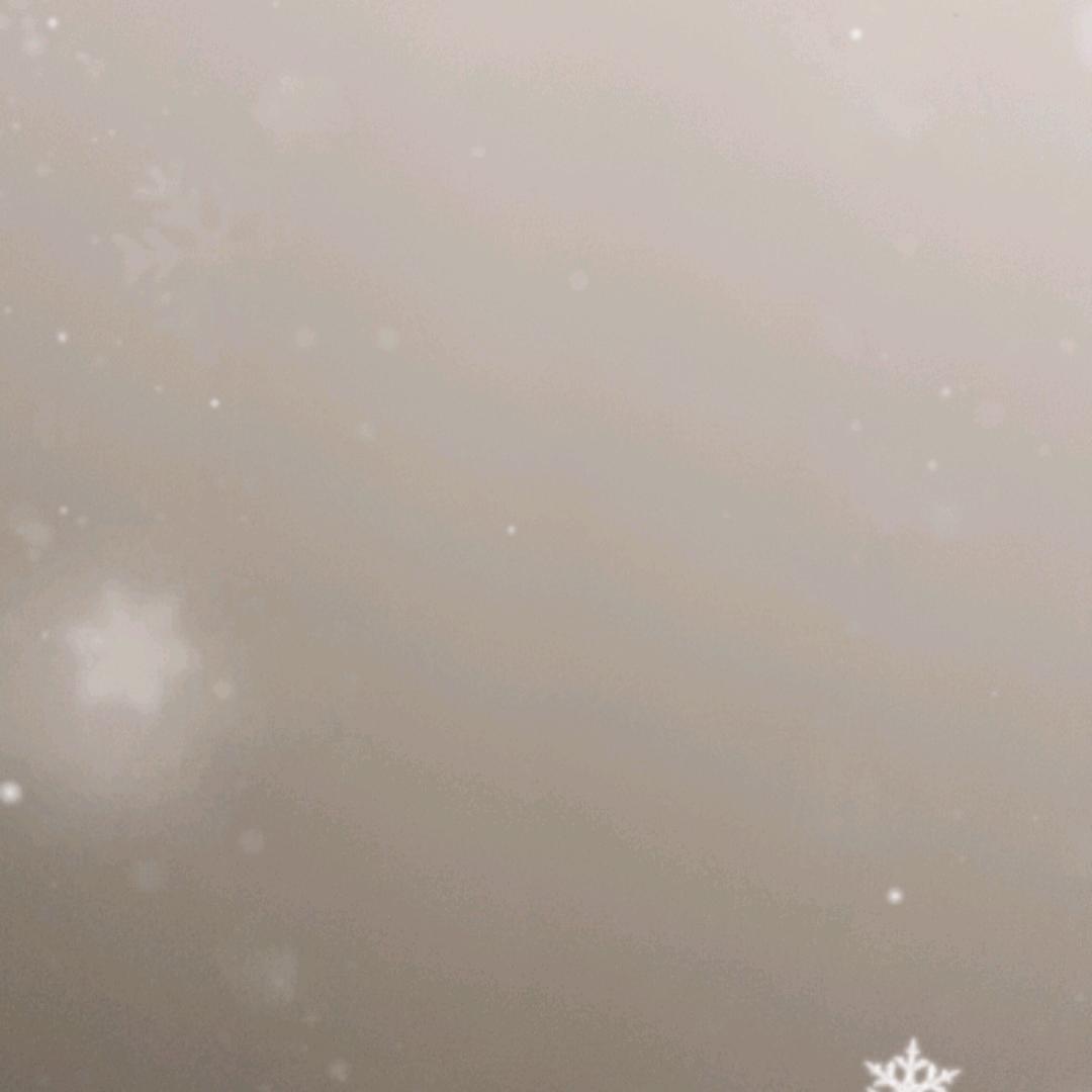 ☠️☠️☠️☠️