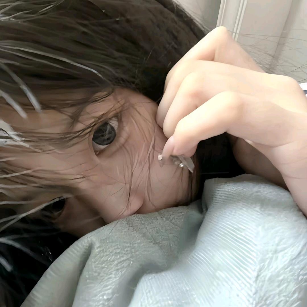 养只猫