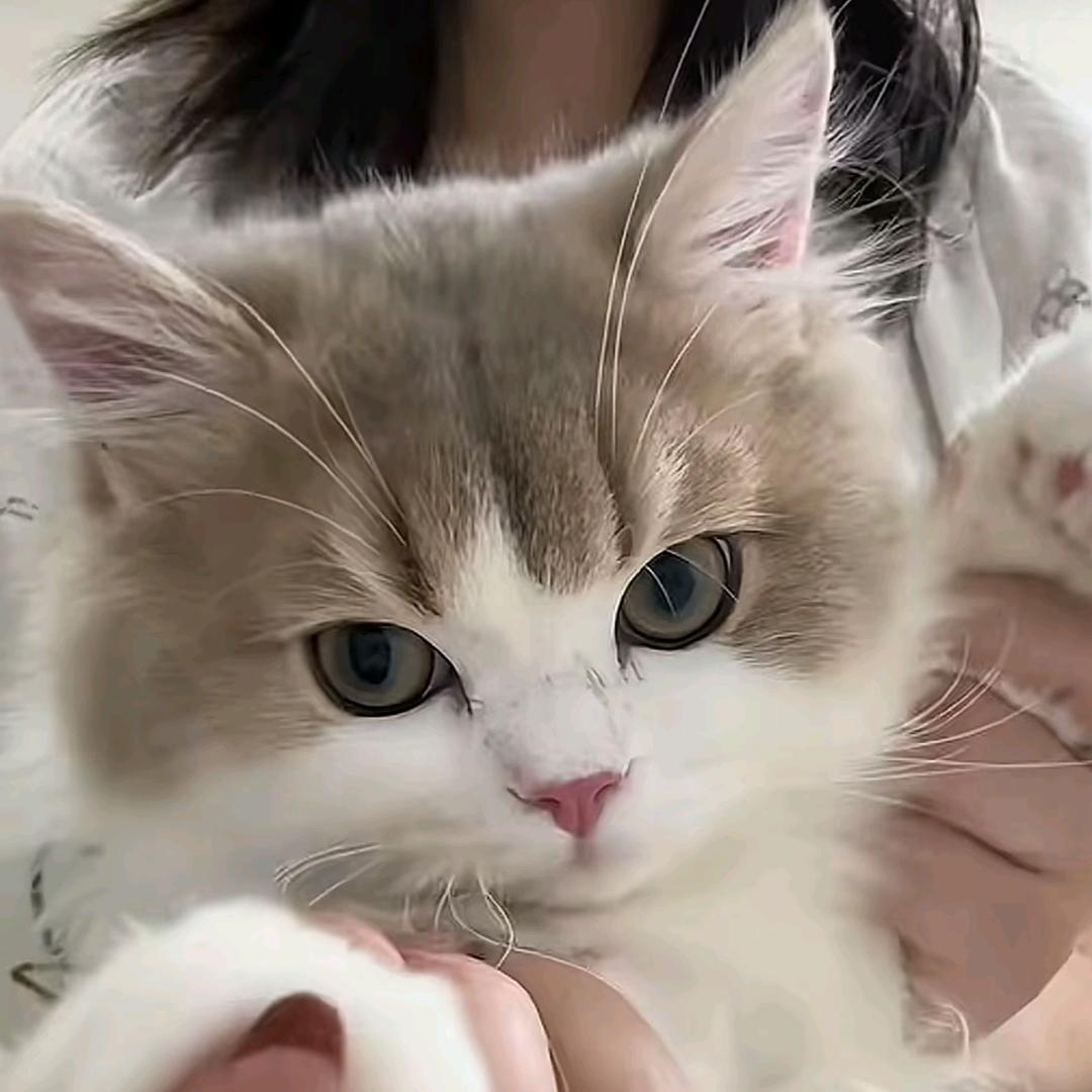 大馋丫头灬皎姐