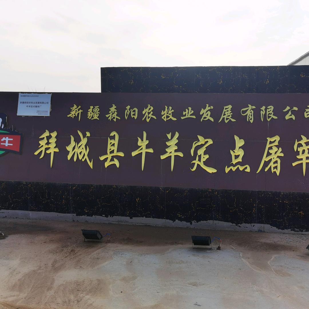 新疆森阳臻品传媒工作室（总部）