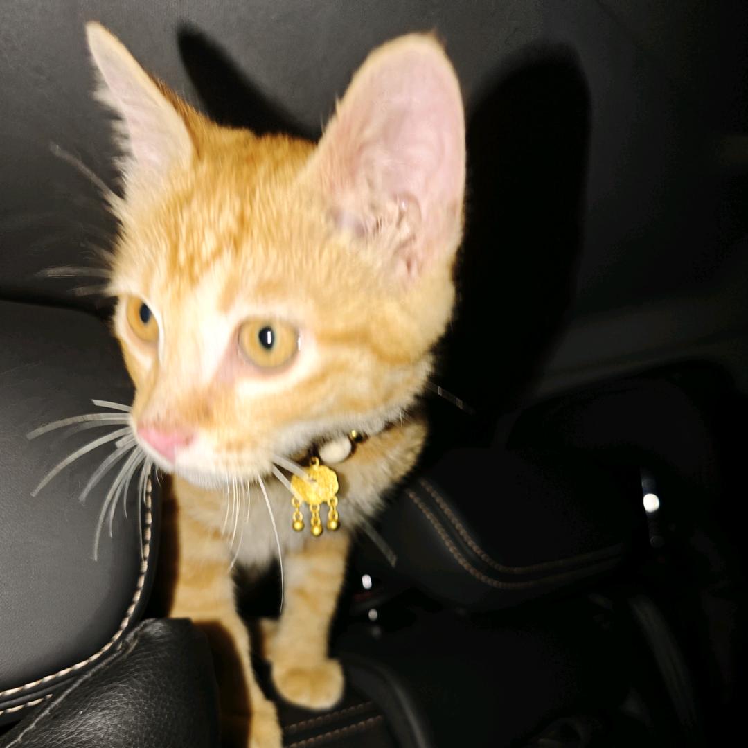 𝓑𝓪𝓲𝓫𝓪𝓲𝓿𝓮