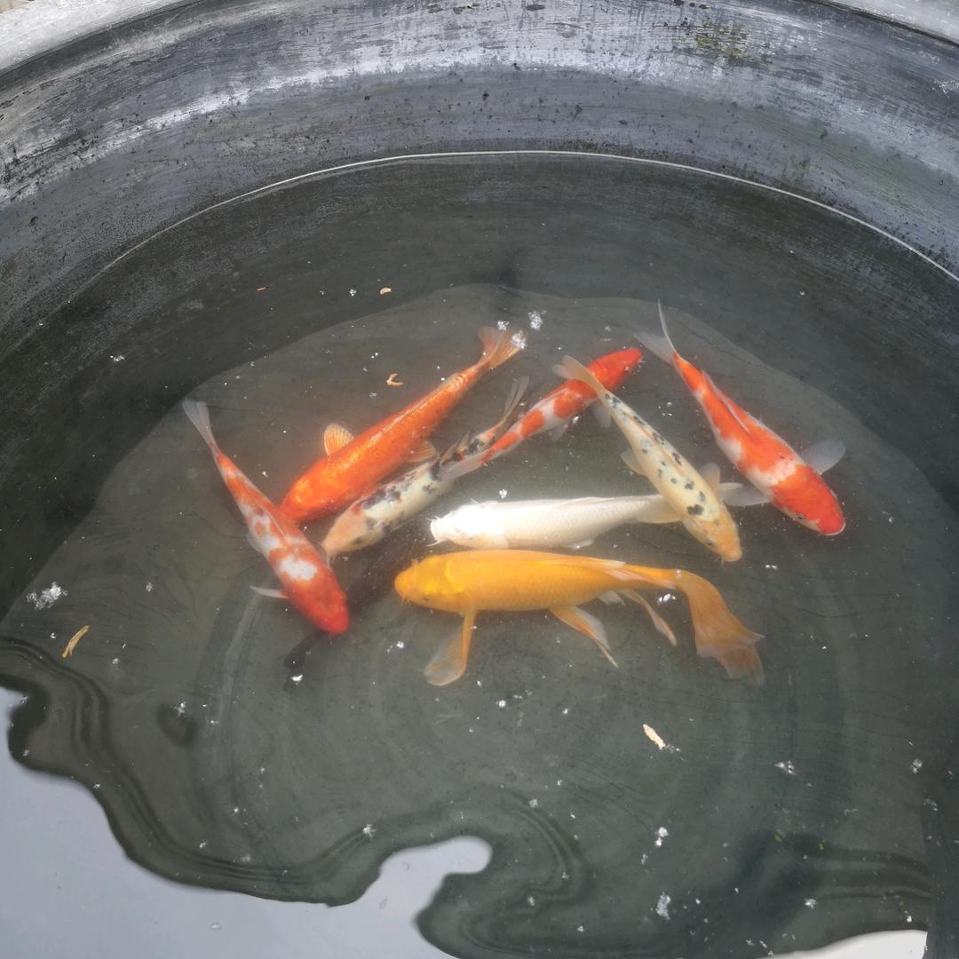 😷一壸👉老酒i👌