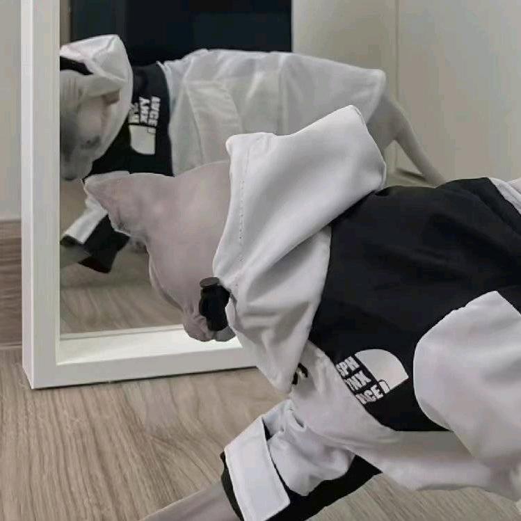 二瓜.