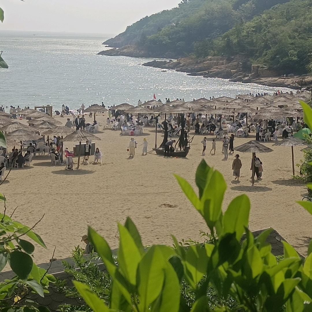 高金龙