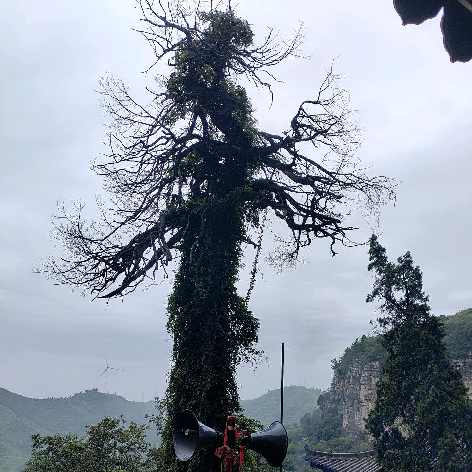 幸福都是快乐🌸🌸