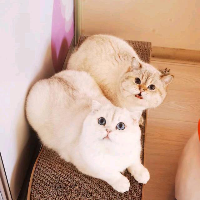 小于姐！头像