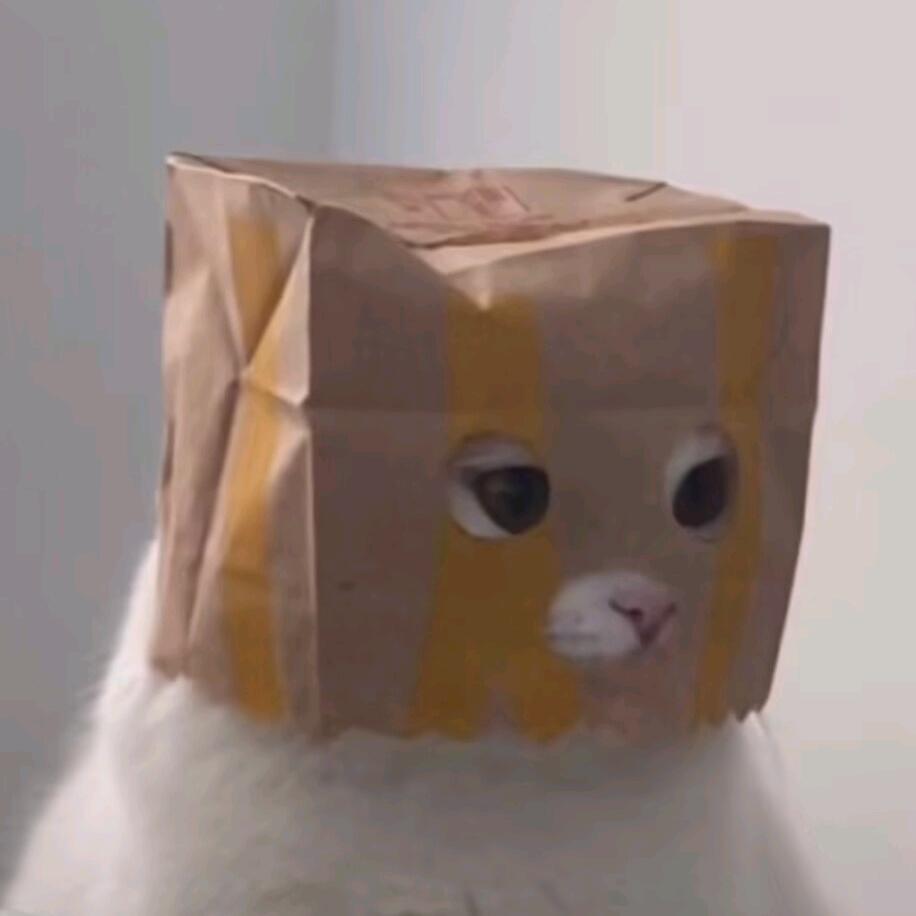 思某杰