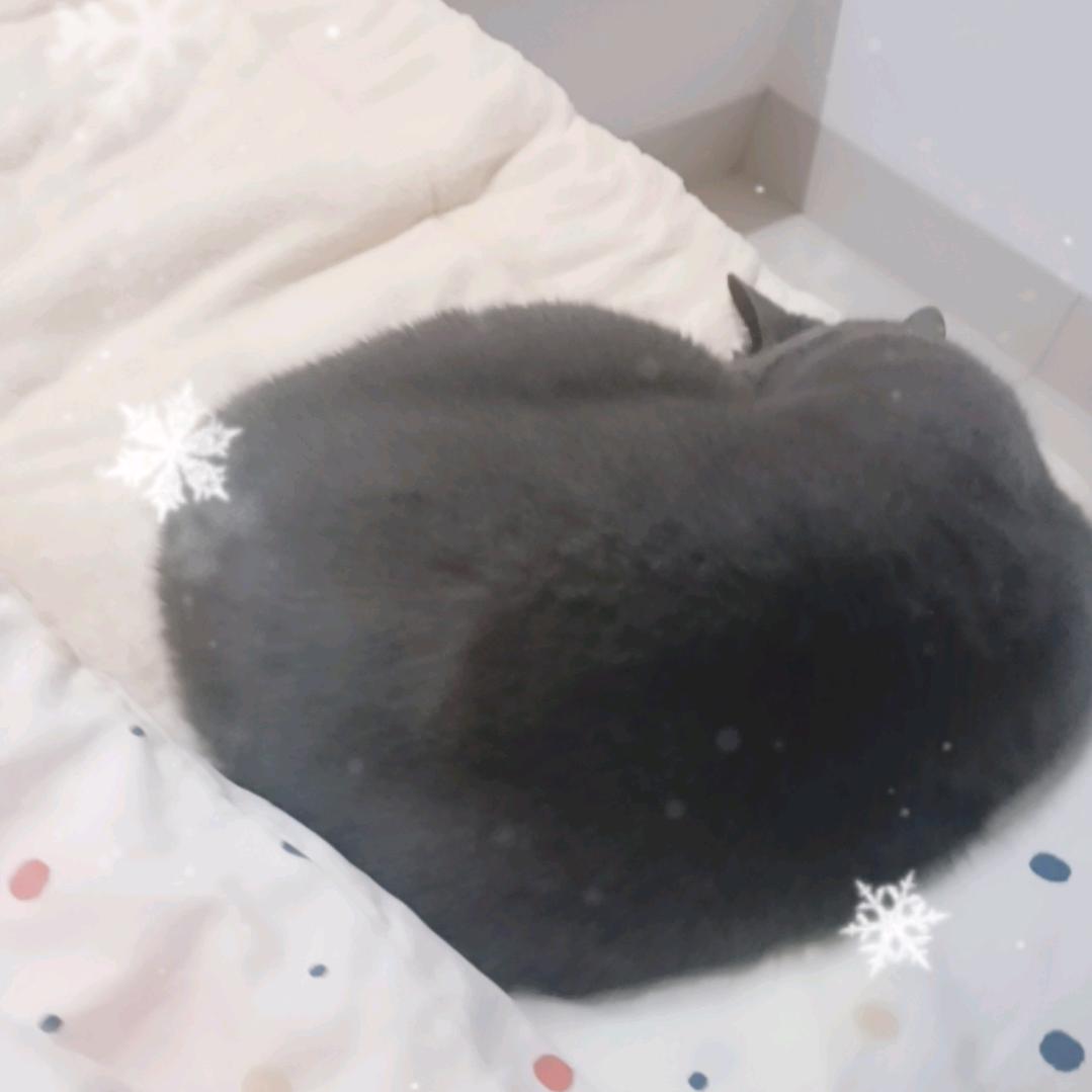 半梦