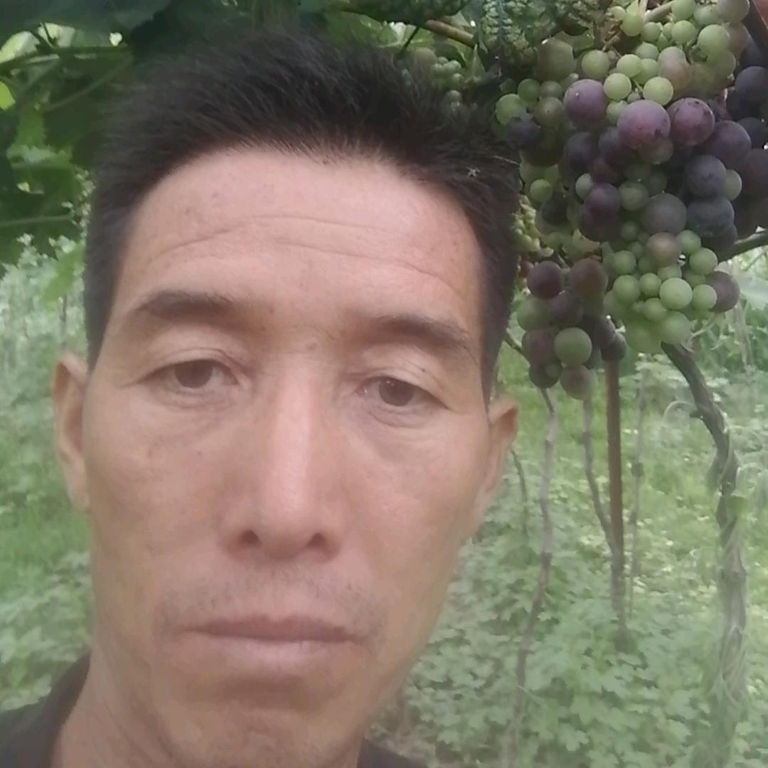 六哥人力服务有限公司