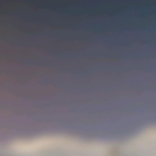 抖