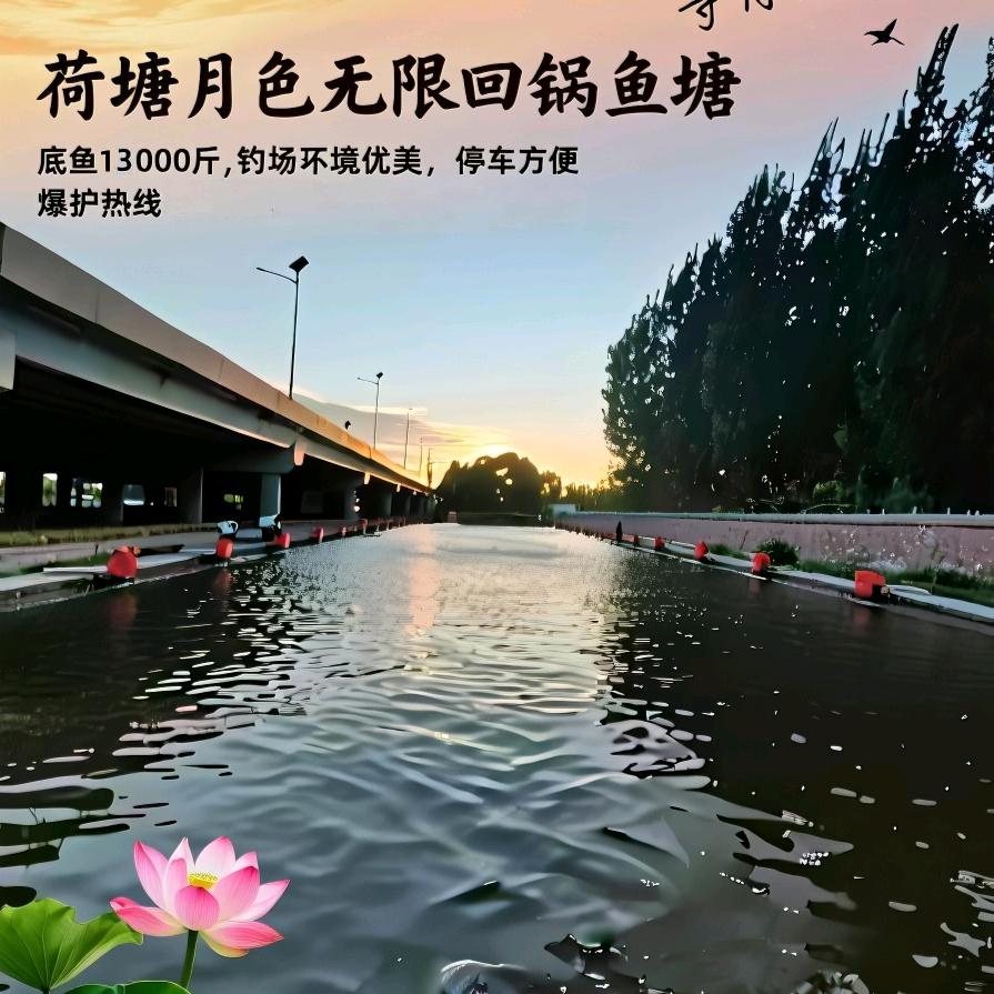 荷塘月色垂钓中心