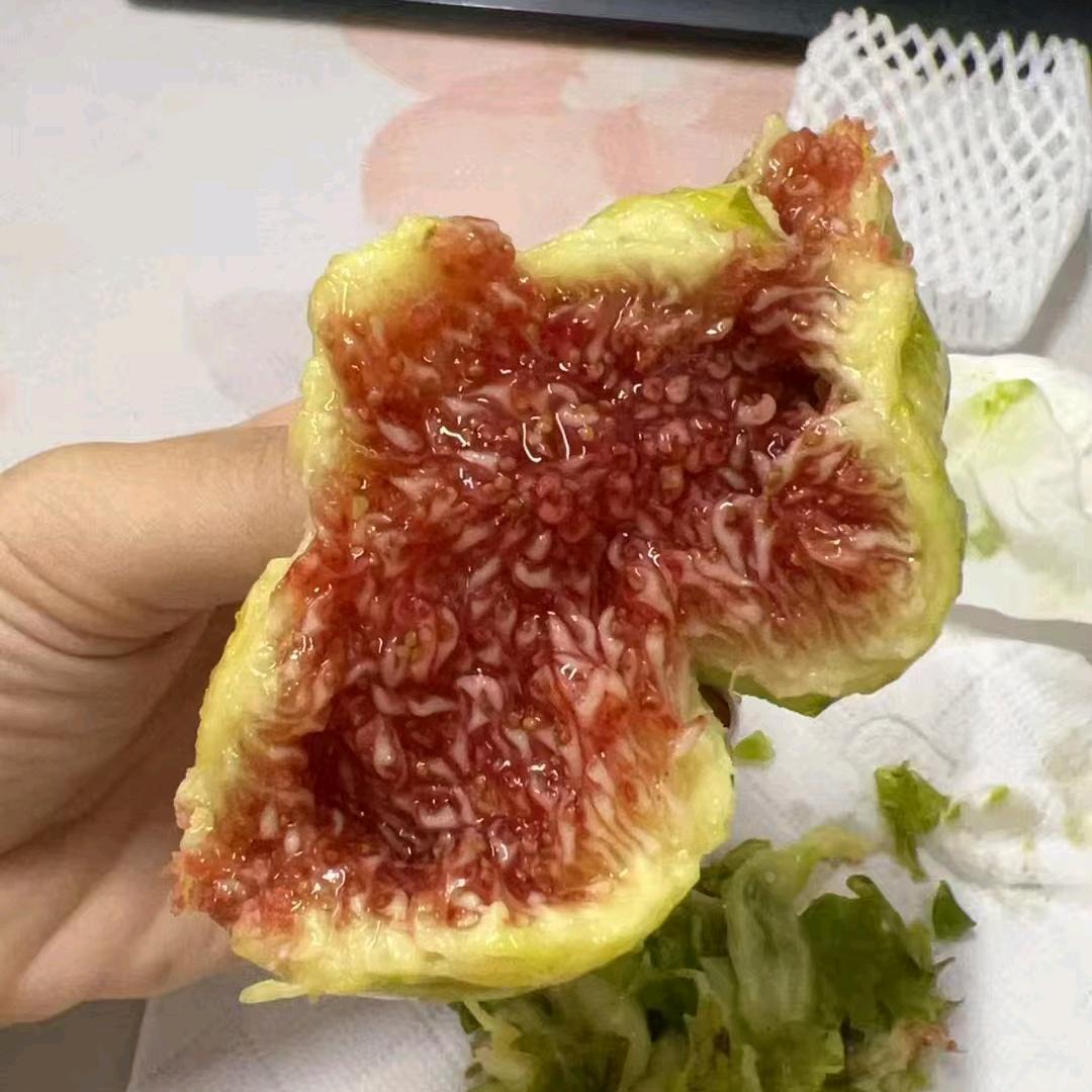 @威海木与海青皮无花果