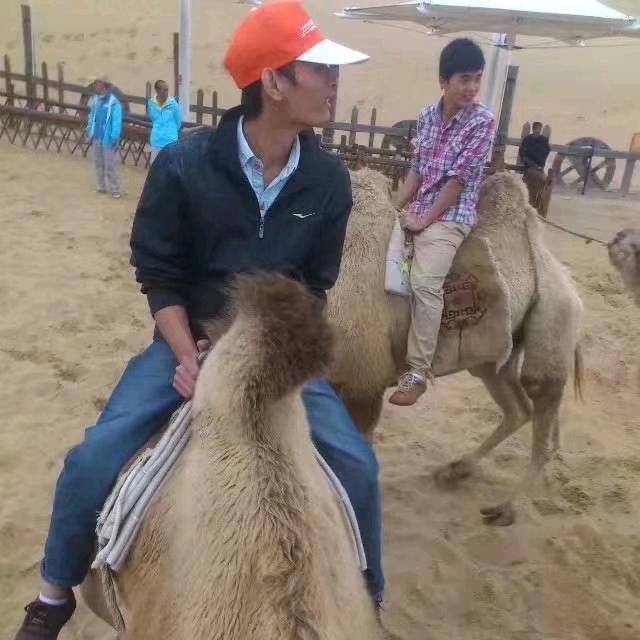 甘蔗哪有两头甜