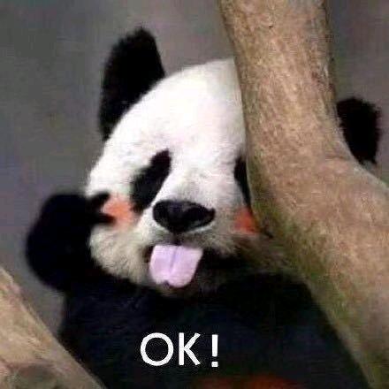 健身的困困熊