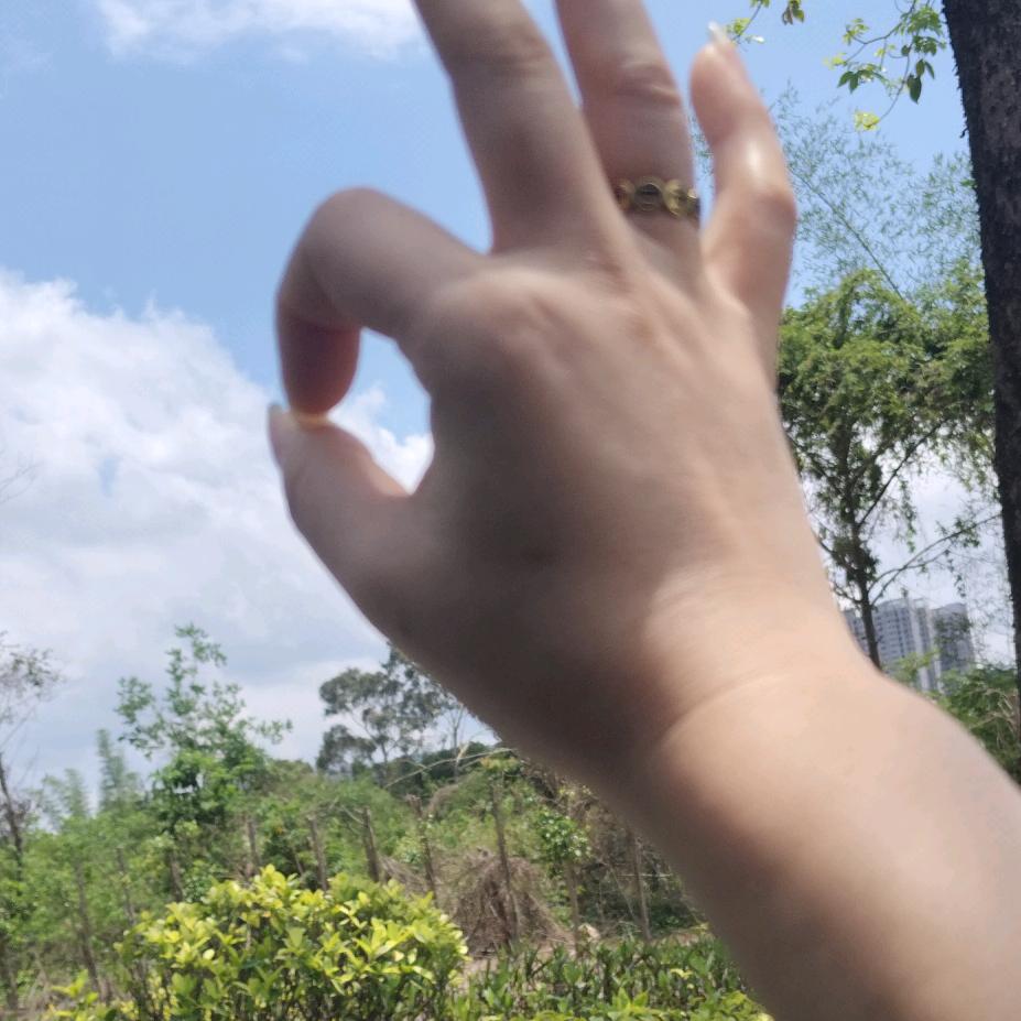 蒲公英𝓦𝓾