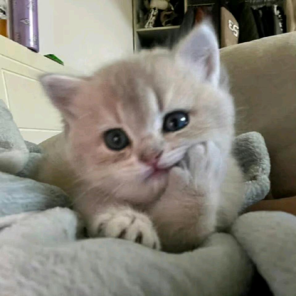 Nan.
