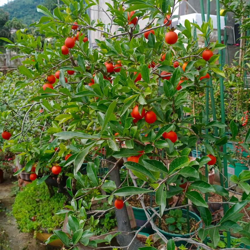 显示屏，广告设计 制作