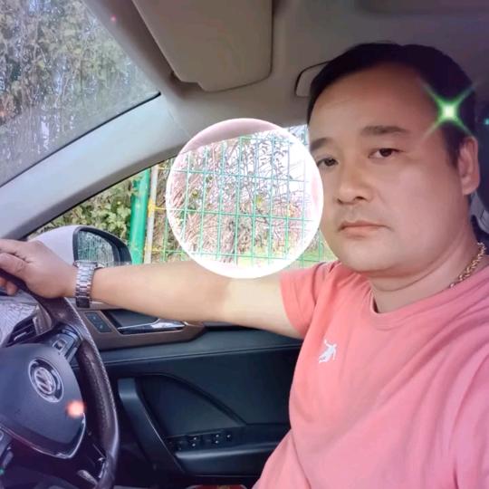 种水果批发士特产