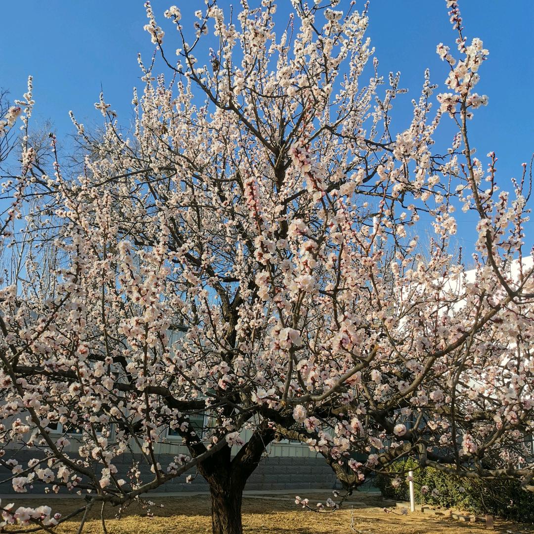 ℒᎭℯ⃝爱人先爱己꧔