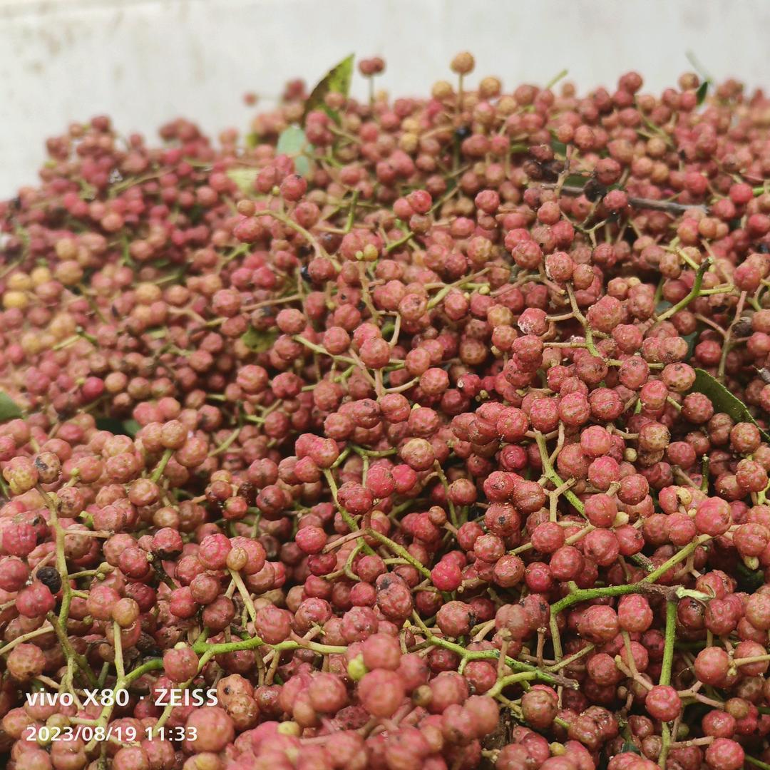 合阳利明花椒加工销售