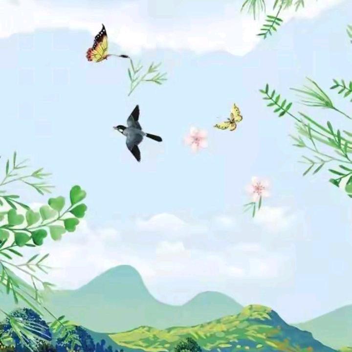 开心果40