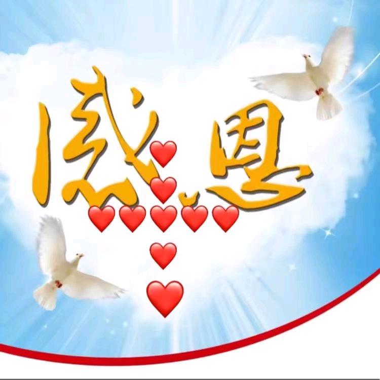 🌈回不了从前咯🌈