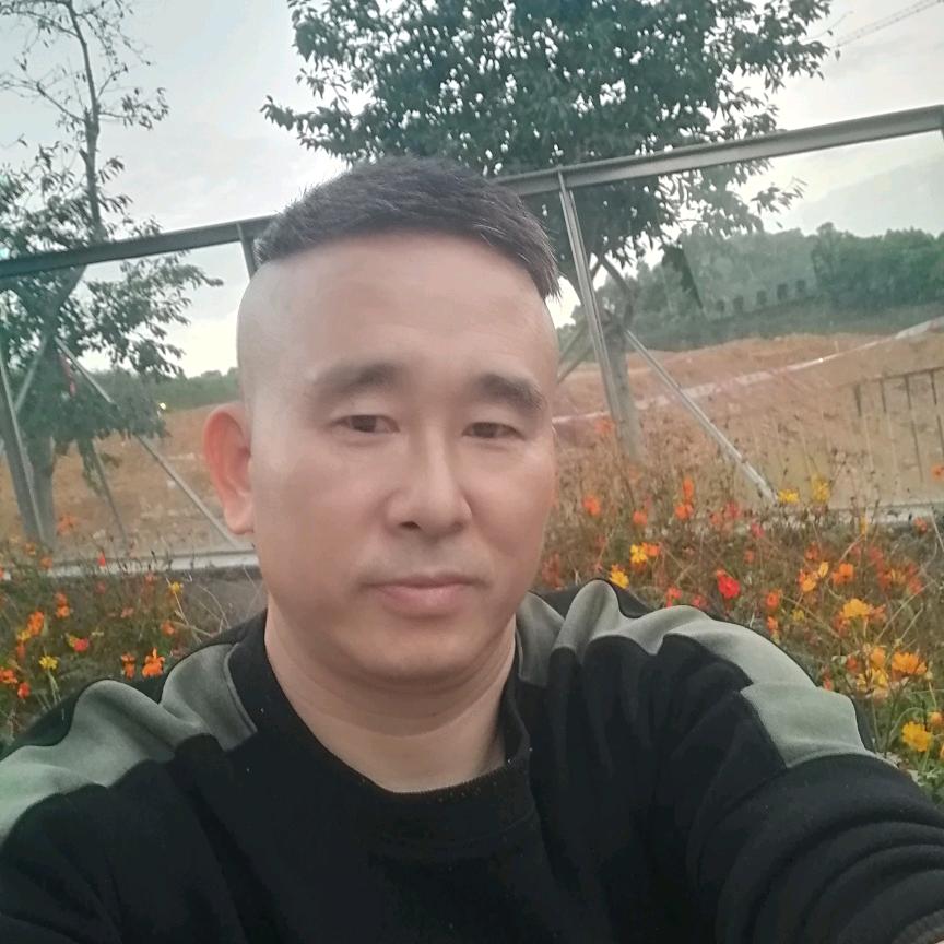 战虎