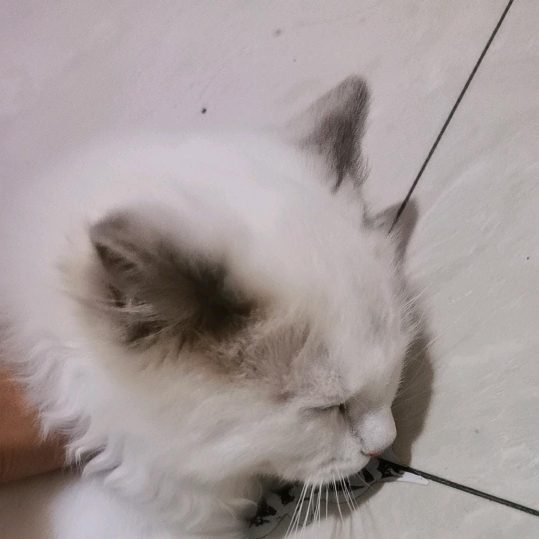 年龄限制了能力