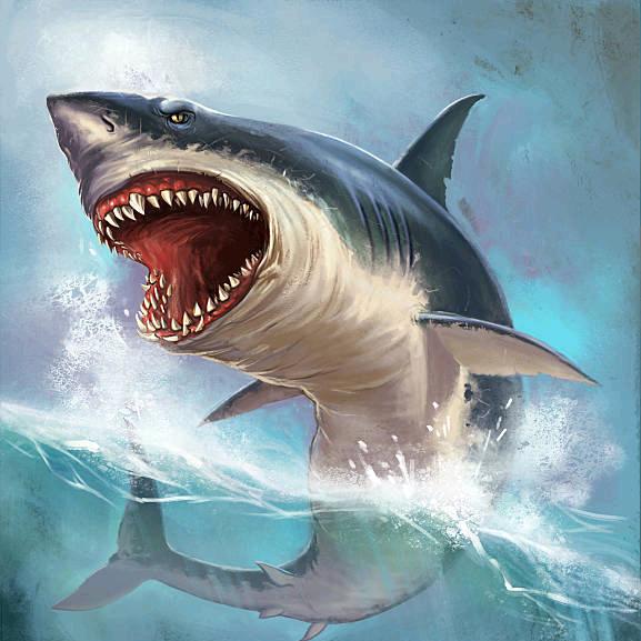 🦈鯊爺🫧 （愛自己版）